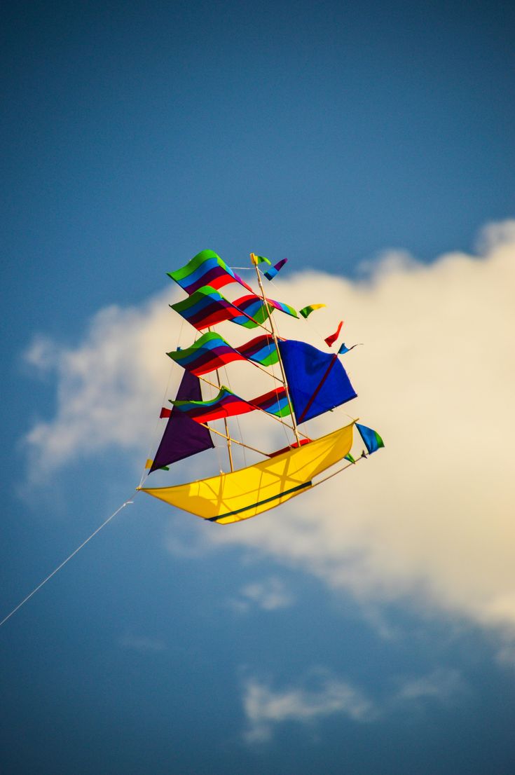 Designer festival kite
